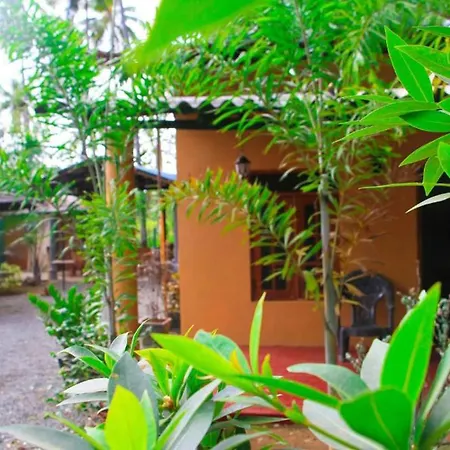 Sigiriya Like Lodge-3