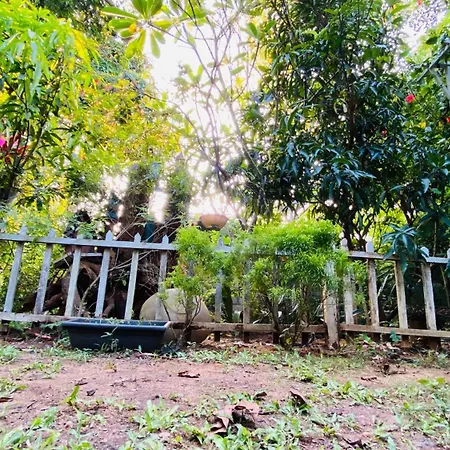 The Courtyard Villa-2